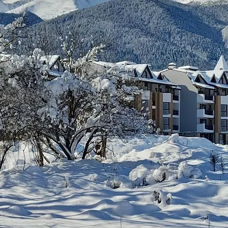 Vip Belvedere With Terrace K105 *