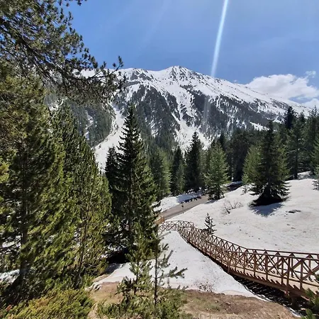 Vip Belvedere With Terrace K105